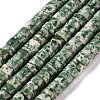 Natural Green Spot Jasper Beads Strands G-M420-A18-01-2