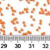 FGB 11/0 Grade A Glass Seed Beads X-SEED-S030-1019-4