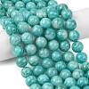 Natural Amazonite Beads Strands G-G453-A02-10mm-1