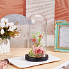 Arch Glass Dome Cover ODIS-WH0030-242A-4