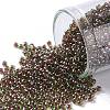 TOHO Round Seed Beads SEED-JPTR11-0250-1