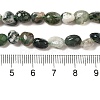 Natural Moss Agate Beads Strands G-L608-A03-01-5