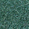 MIYUKI Delica Beads X-SEED-J020-DB0060-3