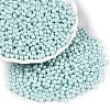 Glass Seed Beads SEED-T007-01K-3