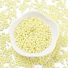 Baking Paint Glass Seed Beads SEED-A033-05E-2