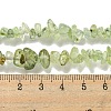 Natural Prehnite Beads Strands G-P332-41A-4