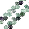 Natural Purple Fluorite Gemstone Beads Strands X-G-T006-04-1