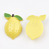Resin Cabochons CRES-S358-16-2