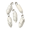 Natural Howlite Pendants G-Z067-07P-07-2