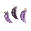 Natural Amethyst Pendants G-L614-D05-G05-1