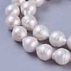 Natural Cultured Freshwater Pearl Beads Strands PEAR-F010-13-2