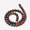 Natural Red Tiger Iron Round Bead Strands G-P075-22-12mm-2