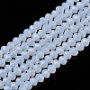 Glass Beads Strands EGLA-A044-J2mm-D06-1