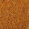 TOHO 8/0 Round Beads SEED-JPTR08-0030F-2
