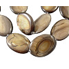 Natural Shell Beads Strands X-PBB250Y-5-1