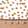 8/0 Glass Seed Beads SEED-A005-3mm-22C-4