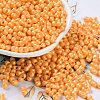 Glass Seed Beads SEED-L011-04A-06-1