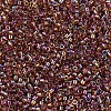 MIYUKI Delica Beads X-SEED-J020-DB0170-3