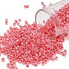 TOHO 8/0 Round Beads SEED-TR08-0906-1