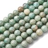 Natural Amazonite Beads Strands X1-G-K068-03-8mm-2