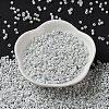 Baking Paint Glass Seed Beads X-SEED-S042-15A-01-3