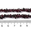Natural Garnet Beads Strands F065-01A-3