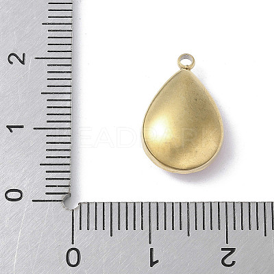 304 Stainless Steel Pendants STAS-S164-01A-G-1