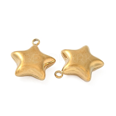 304 Stainless Steel Pendants STAS-S186-01A-G-1
