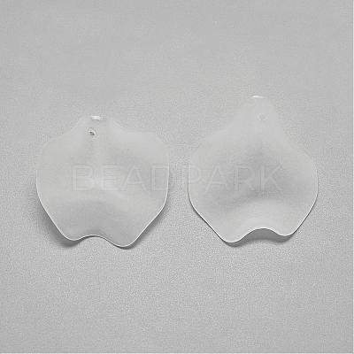 Transparent Acrylic Pendants FACR-S031-15.5mm-SB518-1