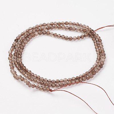 Natural Smoky Quartz Bead Strand X-G-G680-22-1