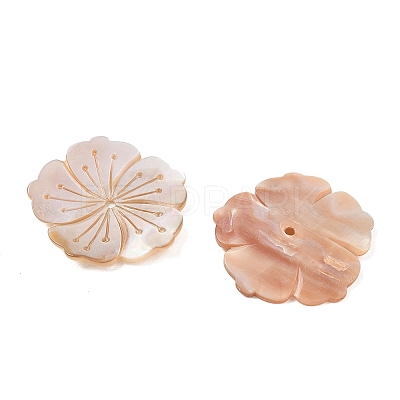 Natural Freshwater Shell Carved Beads SH-CBACA76-07-1