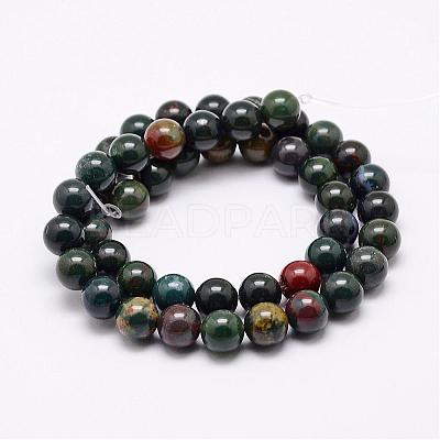 Natural Indian Bloodstone Beads Strands G-P257-07-6mm-1