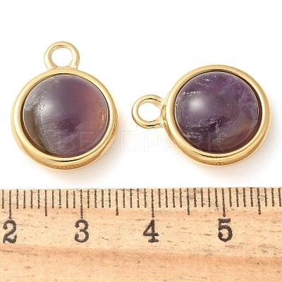 Ion Plating(IP) 304 Stainless Steel with Amethyst Pendants STAS-Q345-11G-02-1
