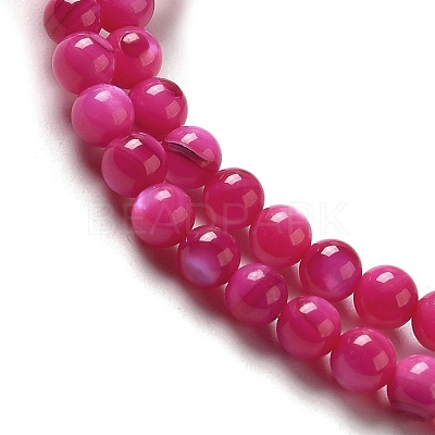 Natural Freshwater Shell Beads Strands SHEL-H003-03F-1