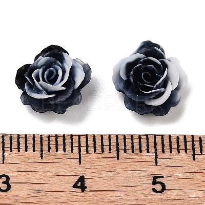 Luminous Resin Decoden Cabochons RESI-K036-62-1