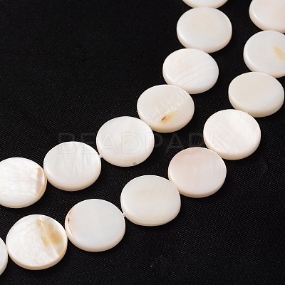 Natural White Shell Beads Strands X-PBB251Y-2-1