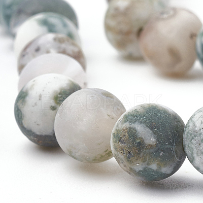 Natural Tree Agate Beads Strands X-G-T106-038-1