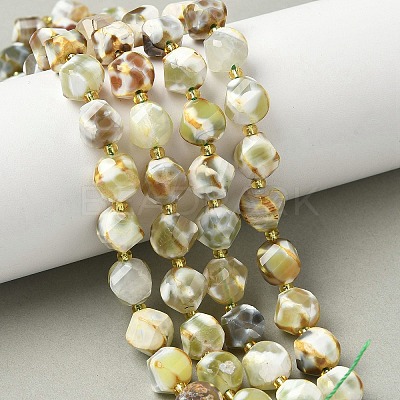 Natural Fire Crackle Agate Beads Strands G-U023-A16-02-1
