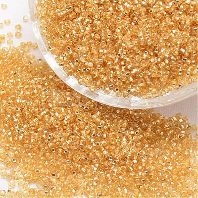 12/0 Round Glass Seed Beads SEED-J018-F12-62-1