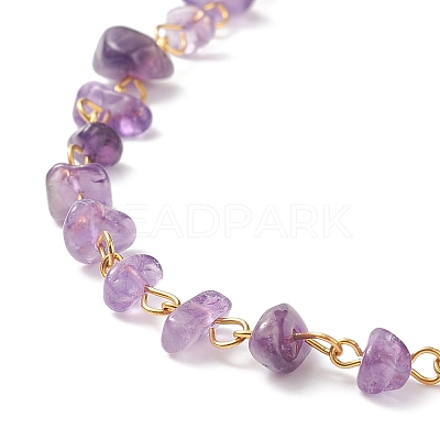 Natural Amethyst Chips Beaded Necklaces NJEW-JN04061-01-1