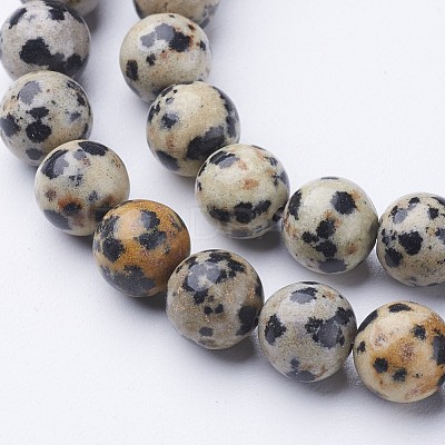 Natural Dalmatian Jasper Beads Strands X-GSR004-1