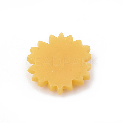 Resin Cabochons X-CRES-N007-10F-1
