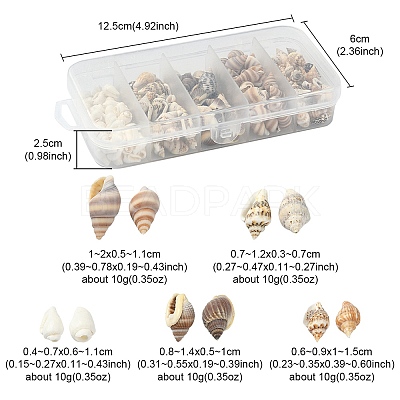 5 Styles Mixed Natural Shell Beads SSHEL-YW0001-03-1