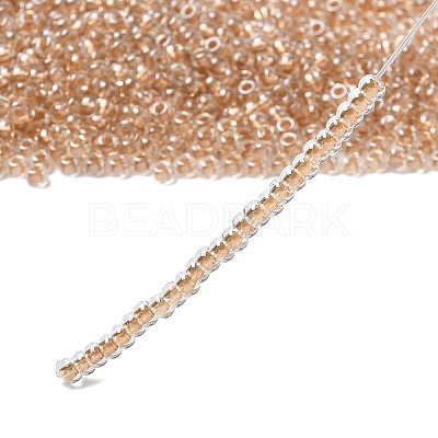 MIYUKI Round Rocailles Beads X-SEED-G008-RR0234-1