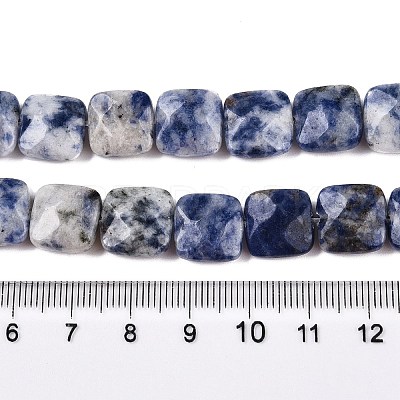 Natural Blue Spot Jasper Beads Strands G-T138-172-1