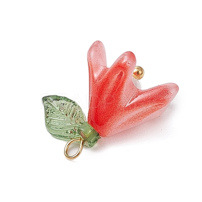 Handmade Lampwork Pendants PALLOY-TA00184-1