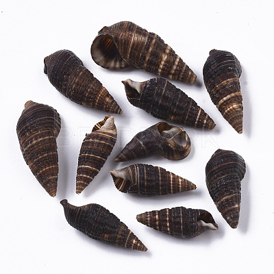 Natural Spiral Shell Beads SSHEL-S258-92-1