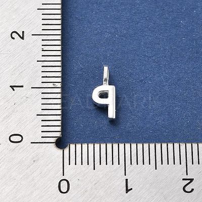 925 Sterling Silver with Cubic Zirconia Charms STER-Q004-01P-S-1
