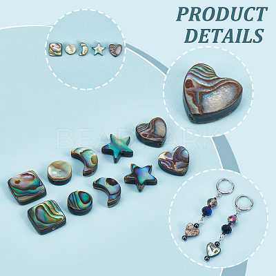 10Pcs 5 Styles Natural Abalone Shell/Paua Shell Beads Sets SSHEL-NB0001-43-1