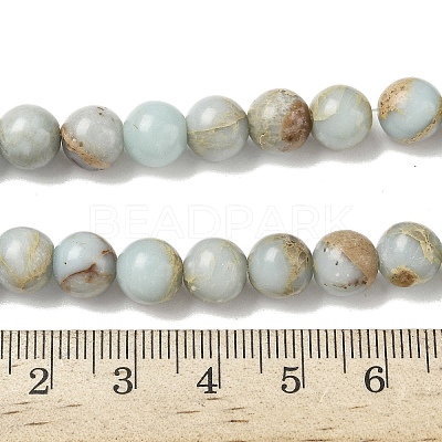 Natural Shoushan Stone Beads Strands G-B155-A01-8mm-1
